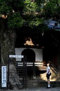 日本古風之旅  漫步葛饰柴又古風情街