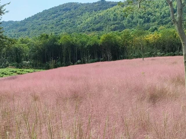 國慶出遊最值得去的地方—花谷奇緣