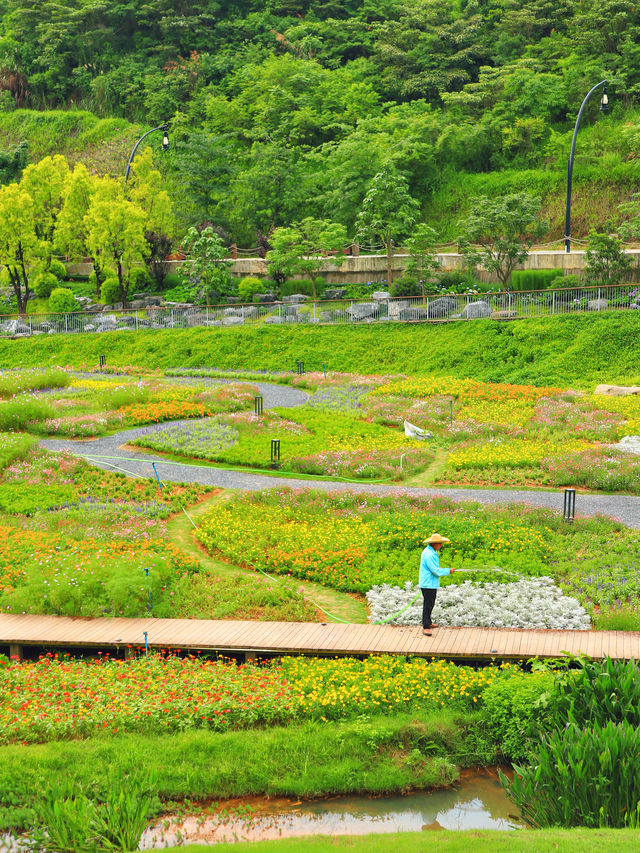 廣州週末/漫遊日系山村叢林溯溪桨板樂園