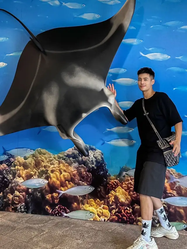 Hong Kong Ocean Park Guide: The perfect place to explore the marine world!