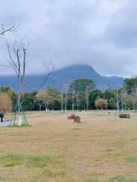 閩侯沙堤市民公園，人少景美超適合野餐露營放空自己