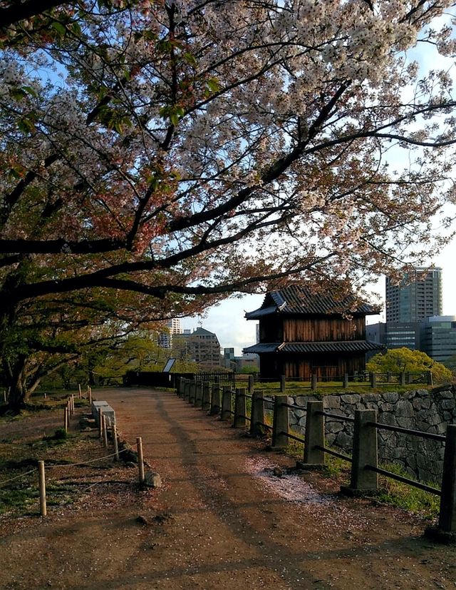 福岡市內必去公園！ 舞鶴公園