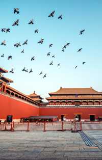 來北京故宮感受一下中國紅獨有的韻味吧