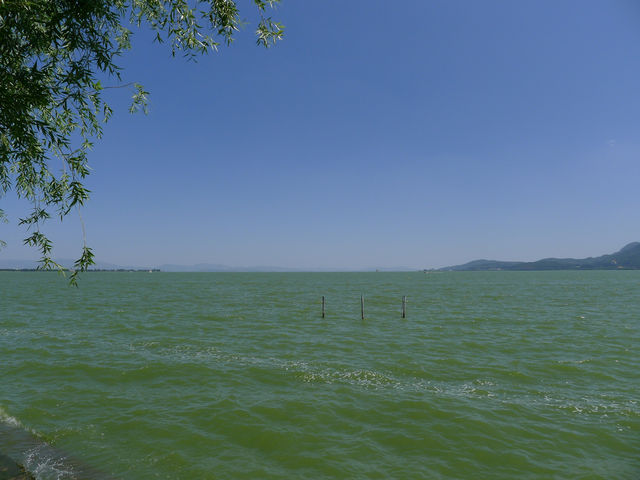 滇池畔的綠色——昆明海埂公園