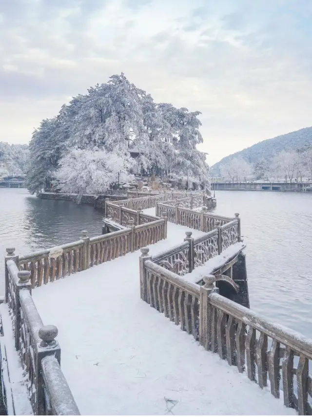 Explore the Winter Fairy Mirror! 'Mount Lu' in Jiangxi is known as the 'ceiling of snow appreciation in the South'