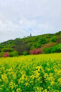 蘇州上方山百花節 附攻略