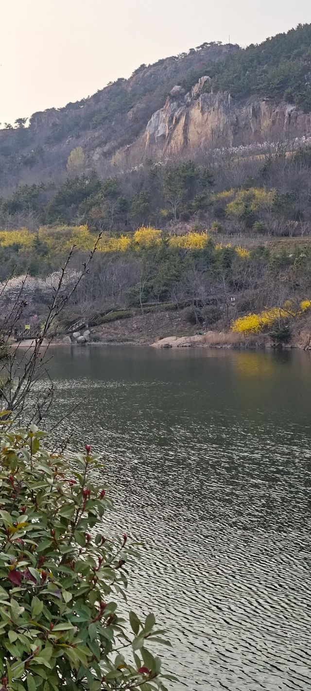 浮山公園越來越美咯