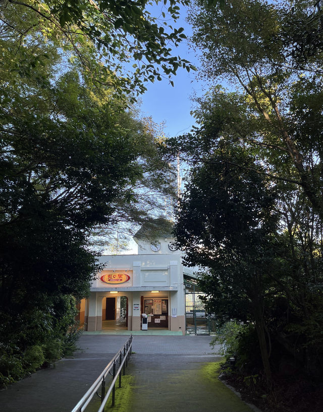 神戶旅遊｜摩耶山一日遊最全攻略