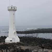 A Cow island of Jeju 🐄🏝️