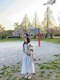 東京帶小狗避開人群的小眾賞櫻公園|||