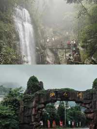 仙人洞|仙人撫我頂，結髮受長生