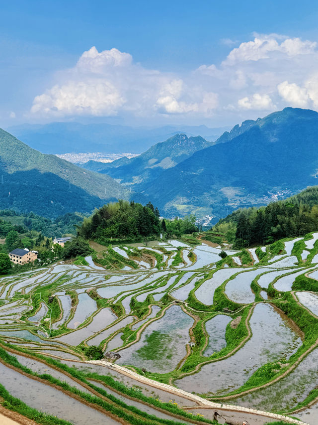 五一出遊好去處麗水雲和梯田