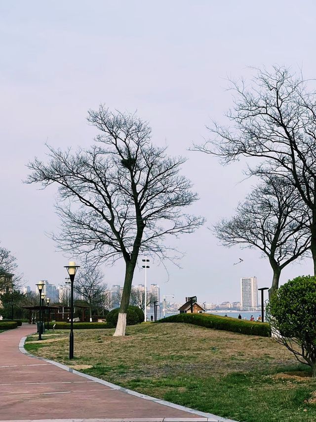 夏日遊玩｜海邊的濕地公園，徒步納涼都不錯