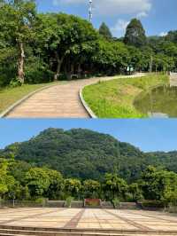 廣州龍頭山🪨｜清涼的天然氧吧，難度登頂
