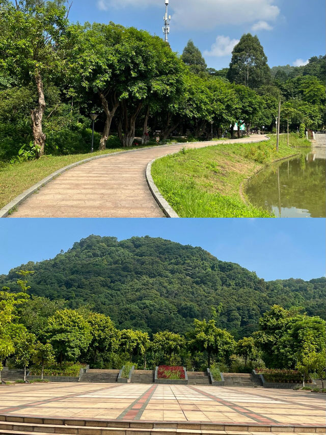 廣州龍頭山🪨｜清涼的天然氧吧，難度登頂