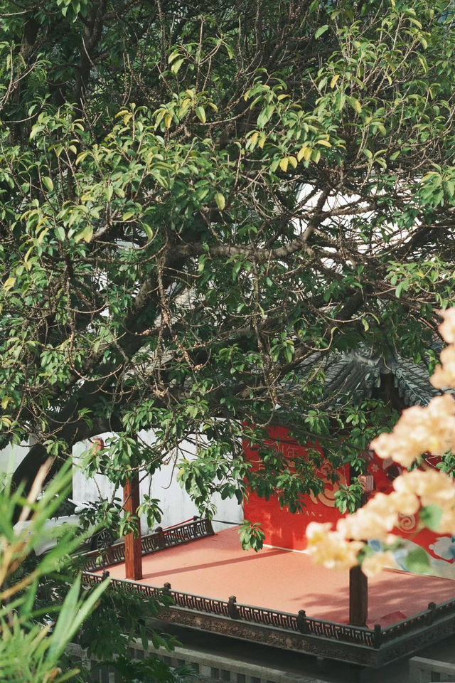 這抹藍紫色，你拍了嗎