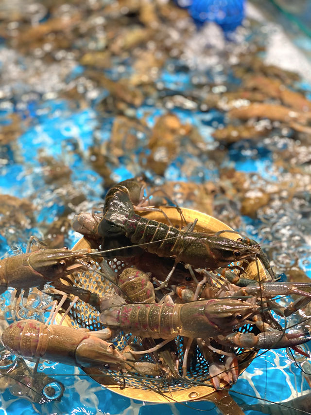 抵食海鮮自助餐😍