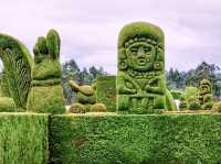 Costa-Rica Surreal Shapes