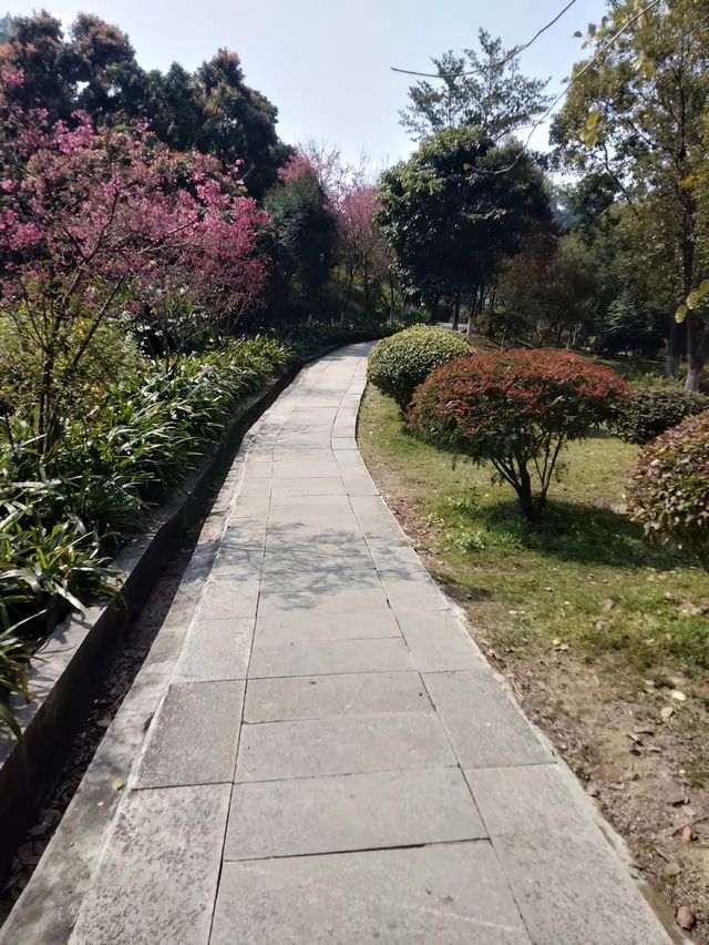 必須來感受一下大自然的超級癢吧