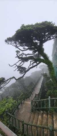 聖堂山