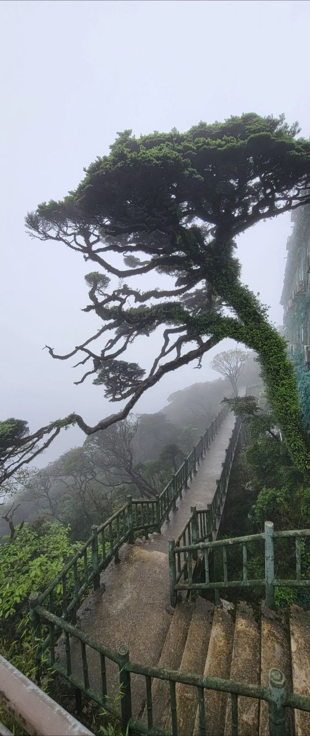 聖堂山