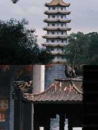 梧州兩日攻略丨國家地理確實誠不欺我