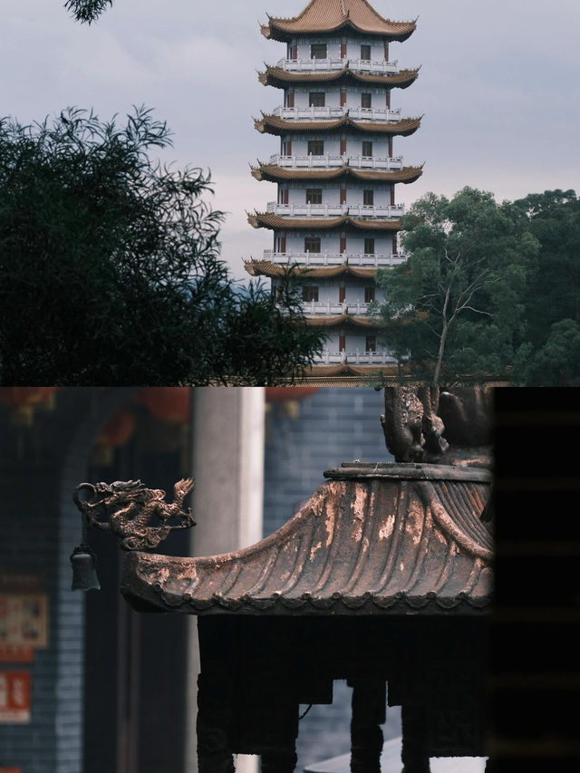 梧州兩日攻略丨國家地理確實誠不欺我