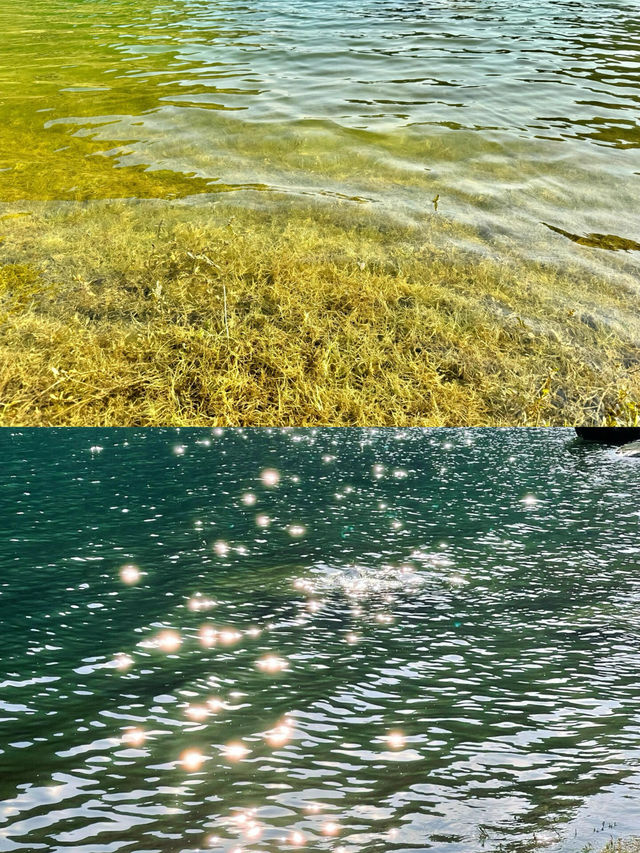 南寧周邊更望湖打卡《鬼怪》同款蕎麥花海