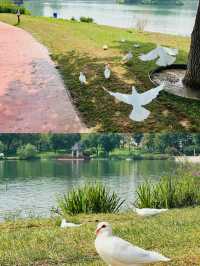 河北·廊坊固安大湖公園
