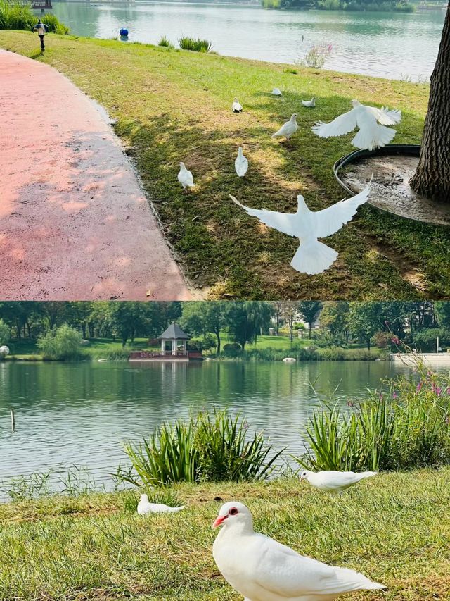 河北·廊坊固安大湖公園
