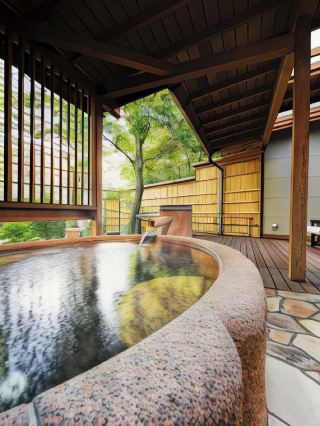 🌸 Shizuoka's Hot Spring Haven: Yoshiharu Hotel 🌸