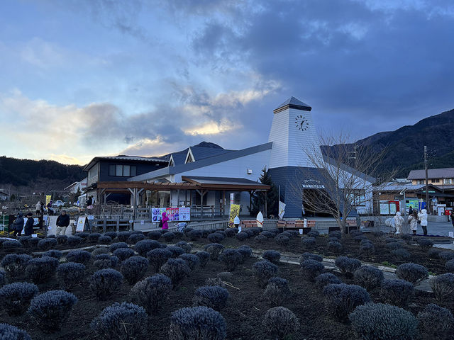 關東景點｜河口湖大石公園Oishi Park