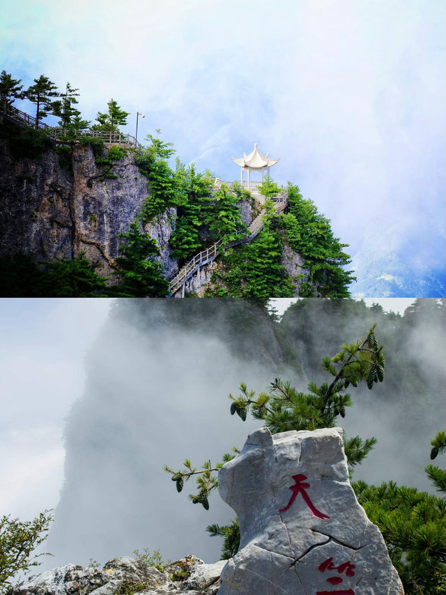 秦嶺天竺山旅遊攻略