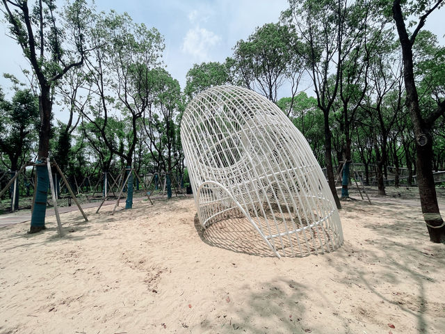 就是我，在38度的高溫裡帶娃去了公園大戶外