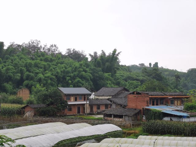 雨漫內自邊界的中溪河畔