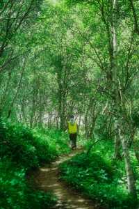 京郊最美空中草原北靈山徒步，宮崎駿的夏天