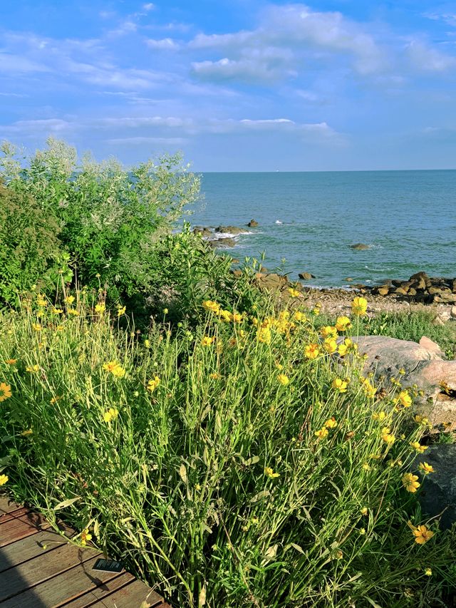 青島銀沙灘，邂逅夏日納涼玩水時光