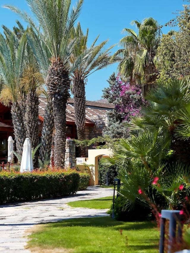 🌟 Bodrum's Best Beds: Luxe Sleeps & Beachy Vibes 🌊