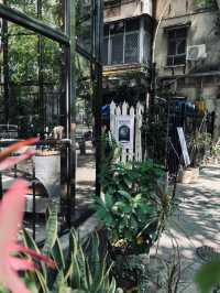佛山探店 | 藏在老小區下的綠色氛圍書店
