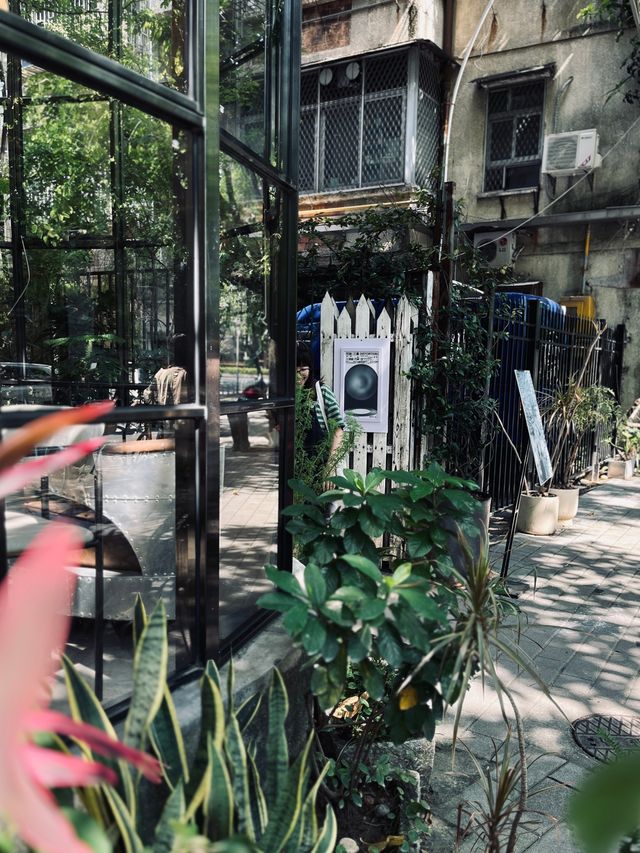 佛山探店 | 藏在老小區下的綠色氛圍書店