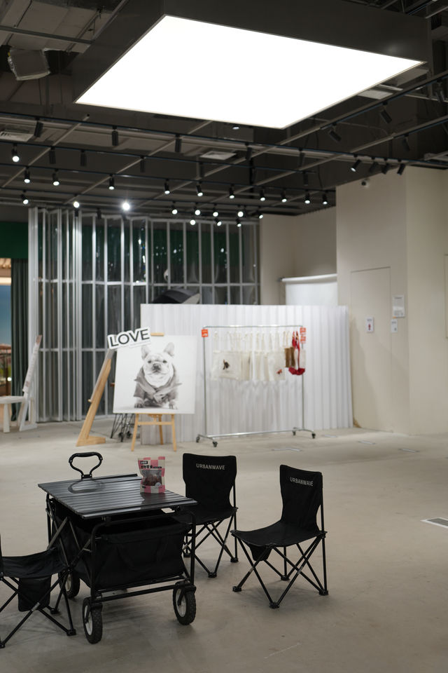 0元參觀寵物領養攝影展｜領養代替購買