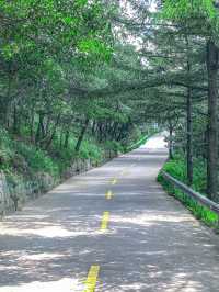 沂蒙山龜蒙景區保姆級遊玩攻略！