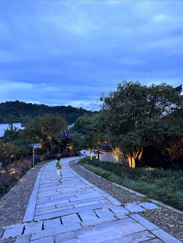 反向玩水小院私湯·璟園蝶來望境溫泉酒店