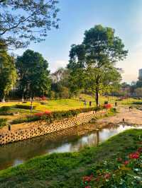 地鐵直達丨INFJ推薦丨廣州6號線上的小眾公園