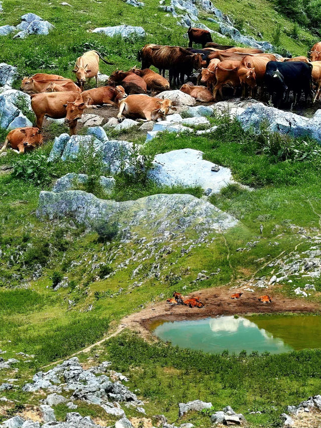 北陽山秘境之旅 西安周邊隱世仙境大揭秘！