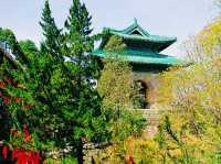 Wudang: A Mountain of Peaceful Warriors