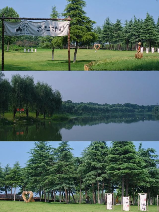 鄭州這個新開放的濕地公園簡直贏麻了。