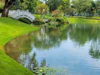 成都適合一個人閒逛的免費公園！摩訶池公園，來了就不想走!