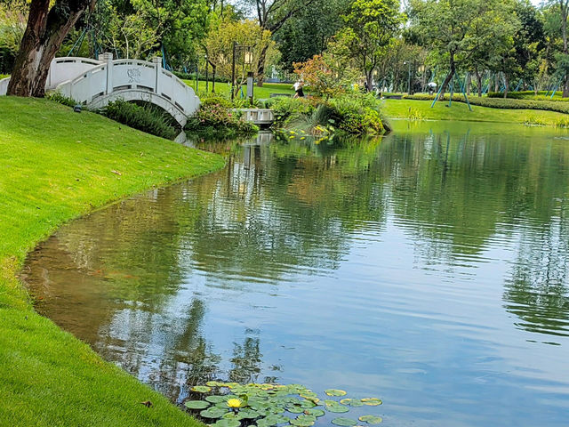 成都適合一個人閒逛的免費公園！摩訶池公園，來了就不想走!