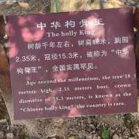 湖北黄石上冯古村｜九古奇村神秘面紗。